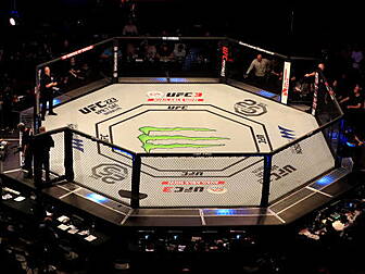 UFC welcome France's legalisat...